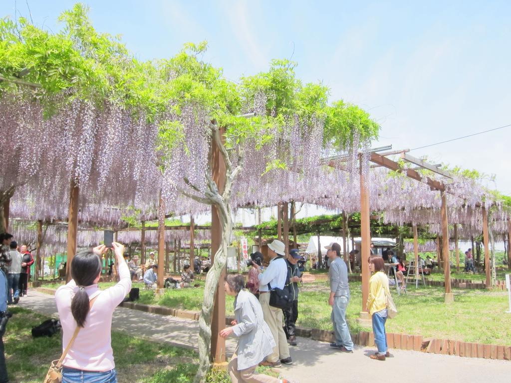 Miyako City สึ ภายนอก รูปภาพ