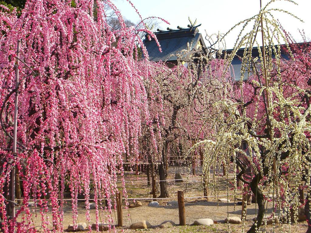 Miyako City สึ ภายนอก รูปภาพ